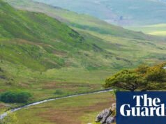 Instituição de caridade galesa compra mais de 405 hectares de terra para regeneração e reflorestamento