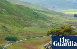 Instituição de caridade galesa compra mais de 405 hectares de terra para regeneração e reflorestamento