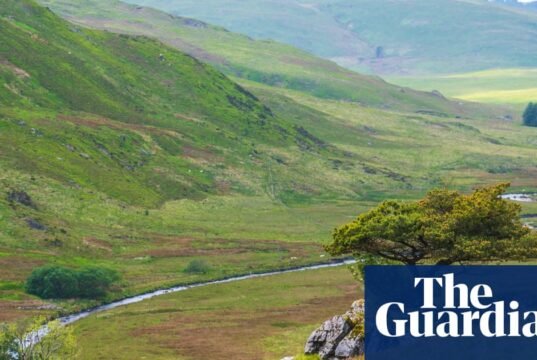Instituição de caridade galesa compra mais de 405 hectares de terra para regeneração e reflorestamento