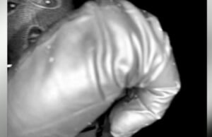 Os testes do FBI encontraram DNA na luva que correspondia ao tipo visto no vídeo da campainha de Guthrie