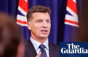 Angus Taylor está a tomar medidas para impulsionar os conservadores e marginalizar os aliados de Susan Leigh à medida que o Partido Liberal se move para a direita. Política australiana