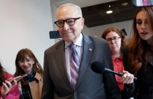 Chuck Schumer empurra a lei da bandeira do orgulho após remover a bandeira de Stonewall