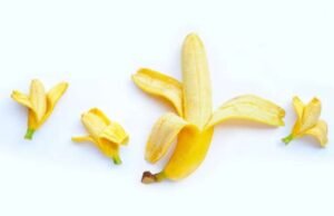 6 fatos únicos sobre os órgãos íntimos masculinos que são menos conhecidos, o número 5 é o mais surpreendente