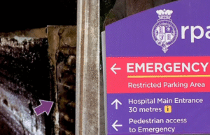 Três pacientes morrem em surto mortal de fungo no Hospital Royal Prince Alfred de Sydney