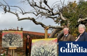 A macieira Bramley original está “ameaçada de extinção”, com a terra onde cresce colocada à venda. nottingham