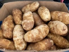 Item da despensa mantido ‘escondido’ por meses – família ‘horrorizada’ com o que surge