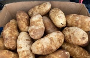 Item da despensa mantido ‘escondido’ por meses – família ‘horrorizada’ com o que surge