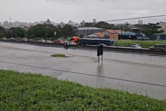 Chuva proíbe Dutra em Touba e quebra árvores em São José