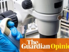 A opinião do The Guardian sobre a guerra de Trump contra a ciência: a Europa deve captar os talentos que fogem da América editorial