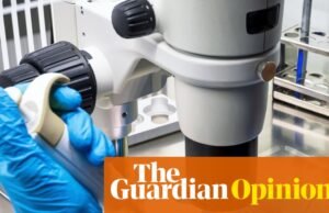 A opinião do The Guardian sobre a guerra de Trump contra a ciência: a Europa deve captar os talentos que fogem da América editorial