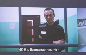 Os aliados europeus afirmam que Navalny foi envenenado com veneno de sapo venenoso. A Rússia rejeita a alegação