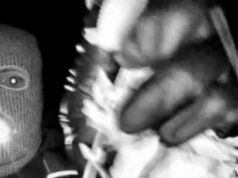 Os investigadores conseguiram o vídeo da câmera Google Nest de Nancy Guthrie do ‘sistema de back-end’