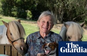 Por dentro do encantador estúdio de Alison Lester: livros ilustrados ‘Tudo o que faço parece um brinquedo de pelúcia’