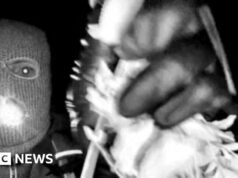 DNA de Nancy Guthrie Suspect encontrado em luvas em vídeo