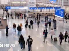 Paralisação da Segurança Interna dos EUA pode significar atrasos nos aeroportos, dizem grupos de viagens