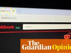 Não, a singularidade humano-robô não está aqui. Mas devemos tomar medidas para controlar a IA. Samuel Woolley