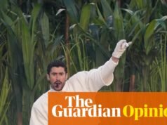 No Super Bowl, Bad Bunny desafia o significado de Bad Bunny da ‘América’