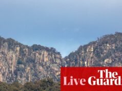 Australia News Live: Análise de tiros leva a busca renovada pela fugitiva Daisy Freeman; Littleproud enfrentou uma tentativa de fragmentação da liderança. notícias da Austrália