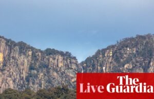 Australia News Live: Análise de tiros leva a busca renovada pela fugitiva Daisy Freeman; Littleproud enfrentou uma tentativa de fragmentação da liderança. notícias da Austrália