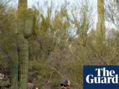 A busca pela mãe de Savannah Guthrie continua com mais de 18.000 ligações recebidas no Arizona