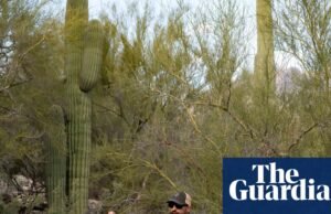 A busca pela mãe de Savannah Guthrie continua com mais de 18.000 ligações recebidas no Arizona