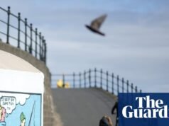 ‘Traição’: 21 vereadores de Hartlepool ameaçam renunciar ao Partido Trabalhista por causa do orçamento de cuidados do condado de Durham