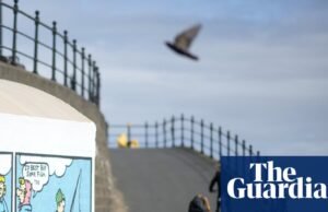 ‘Traição’: 21 vereadores de Hartlepool ameaçam renunciar ao Partido Trabalhista por causa do orçamento de cuidados do condado de Durham