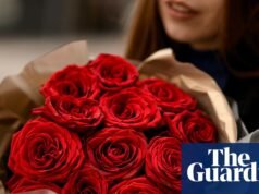 ‘Nada diz mais amor do que produtos químicos’: teste revela que rosas do Dia dos Namorados costumam estar cobertas de pesticidas no Dia dos Namorados