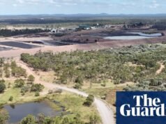 Cientistas dizem que a expansão da mina de carvão QLD aprovada pelo governo de Albany limpará o habitat e agravará a crise climática Carvão