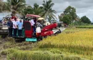 13,29 por cento a mais que 2024