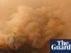 Algumas das árvores mais antigas do mundo atingidas por incêndios florestais provocados pelo clima na Patagônia Incêndio florestal