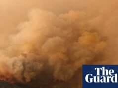 Algumas das árvores mais antigas do mundo atingidas por incêndios florestais provocados pelo clima na Patagônia Incêndio florestal