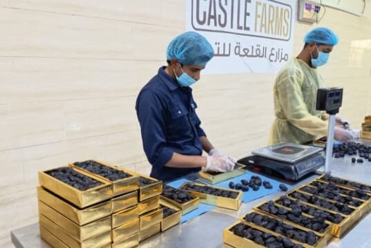 Tâmaras e água branca enquanto quebra o jejum, Sunnah do Profeta cheia de conhecimento