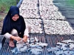 PNM apoia mulheres de costas remotas de Kalimantan Oriental para desenvolver economias familiares