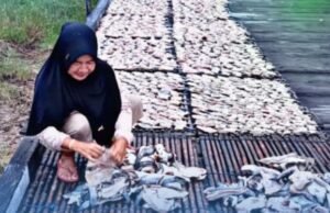 PNM apoia mulheres de costas remotas de Kalimantan Oriental para desenvolver economias familiares