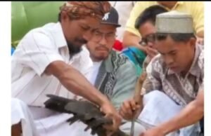 O momento em que Pandji Pragiwaksono pediu desculpas diante de 32 representantes tradicionais de Toraja, multou 1 porco e 5 galinhas