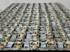 O MBG deve ajudar a aliviar a economia dos pais dos alunos, a avaliação e o monitoramento devem ser fortalecidos