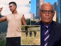 Cães cadáveres implantados enquanto ex-espião afirma que Daisy Freeman é “altamente improvável” de sobreviver ao incêndio florestal