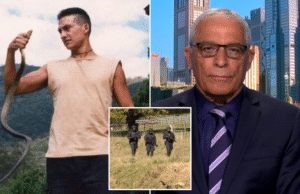 Cães cadáveres implantados enquanto ex-espião afirma que Daisy Freeman é “altamente improvável” de sobreviver ao incêndio florestal