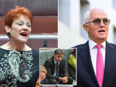 O recém-nomeado líder da oposição, Angus Taylor, já está sob pressão de rivais políticos