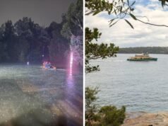 Alerta de tubarões nas praias de Sydney após clima úmido e selvagem cria condições ideais para ataques