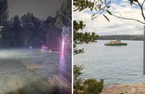 Alerta de tubarões nas praias de Sydney após clima úmido e selvagem cria condições ideais para ataques