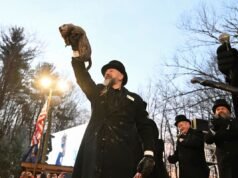 O que é o Dia da Marmota? Significado da tradição secular de inverno