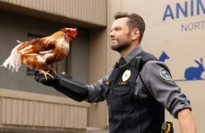 Crítica do episódio 6 da 4ª temporada do Animal Control: As galinhas e os musaranhos