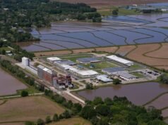 O administrador de Trump provavelmente violou a lei, alerta juiz federal