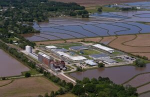 O administrador de Trump provavelmente violou a lei, alerta juiz federal