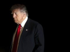 Seus impostos estão pagando este Trump para ser um troll da Internet