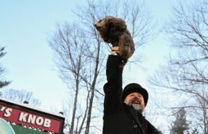 Punxsutawney Phil vê sua previsão de sombra para mais 6 semanas de inverno