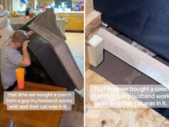 O casal ouve barulhos vindos de um sofá usado e então percebe o que o vendedor deixou dentro