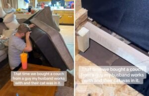 O casal ouve barulhos vindos de um sofá usado e então percebe o que o vendedor deixou dentro
